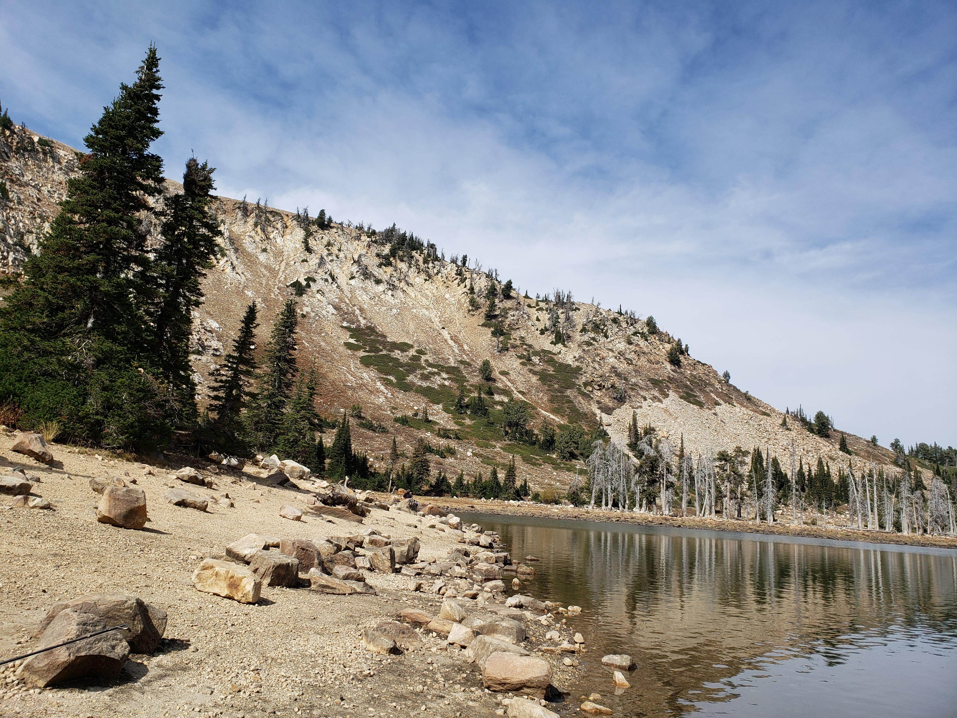 Camper submitted image from Thompson Flat Campground - 3