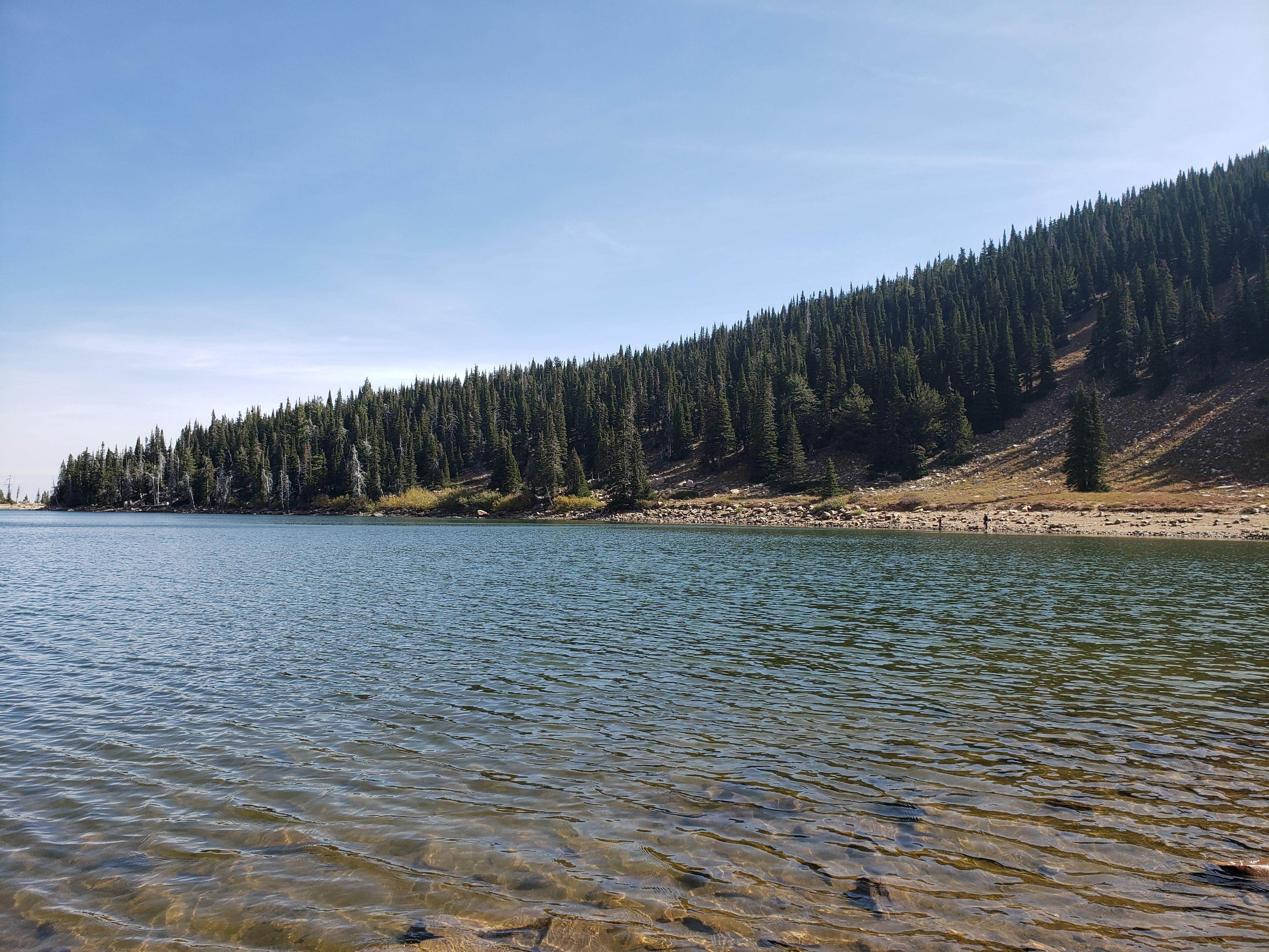 Camper submitted image from Thompson Flat Campground - 5