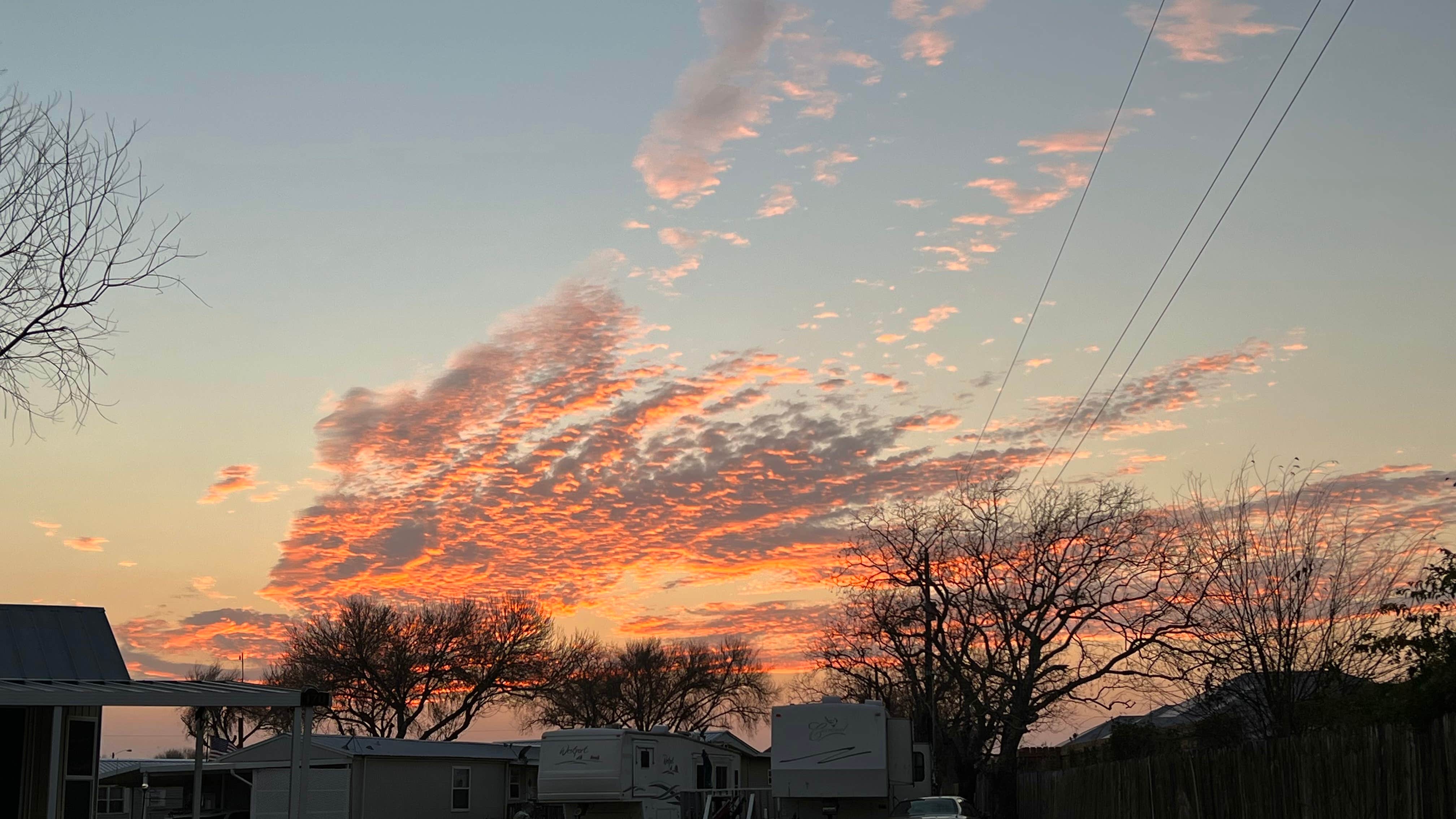 Cari E.'s photo of rv camping at The Fig Tree RV Resort near Harlingen, TX