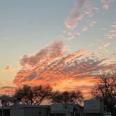 Review photo of The Fig Tree RV Resort by Cari E., March 2, 2022