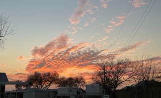 Cari E.'s photo of rv camping at The Fig Tree RV Resort near Brownsville, TX
