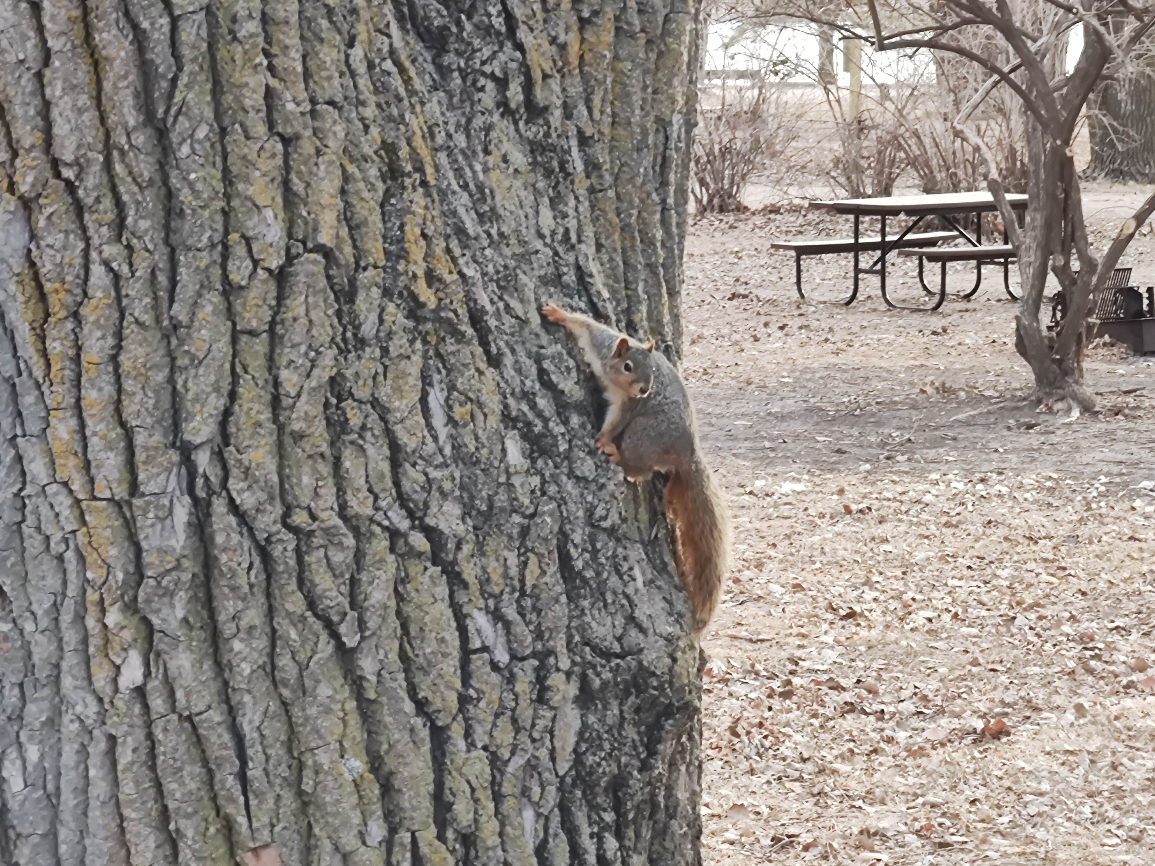 Camper-submitted photo at Main Area Campground near Elwood, NE