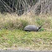 Review photo of Colt Creek State Park Campground by Ramdas S., March 2, 2022