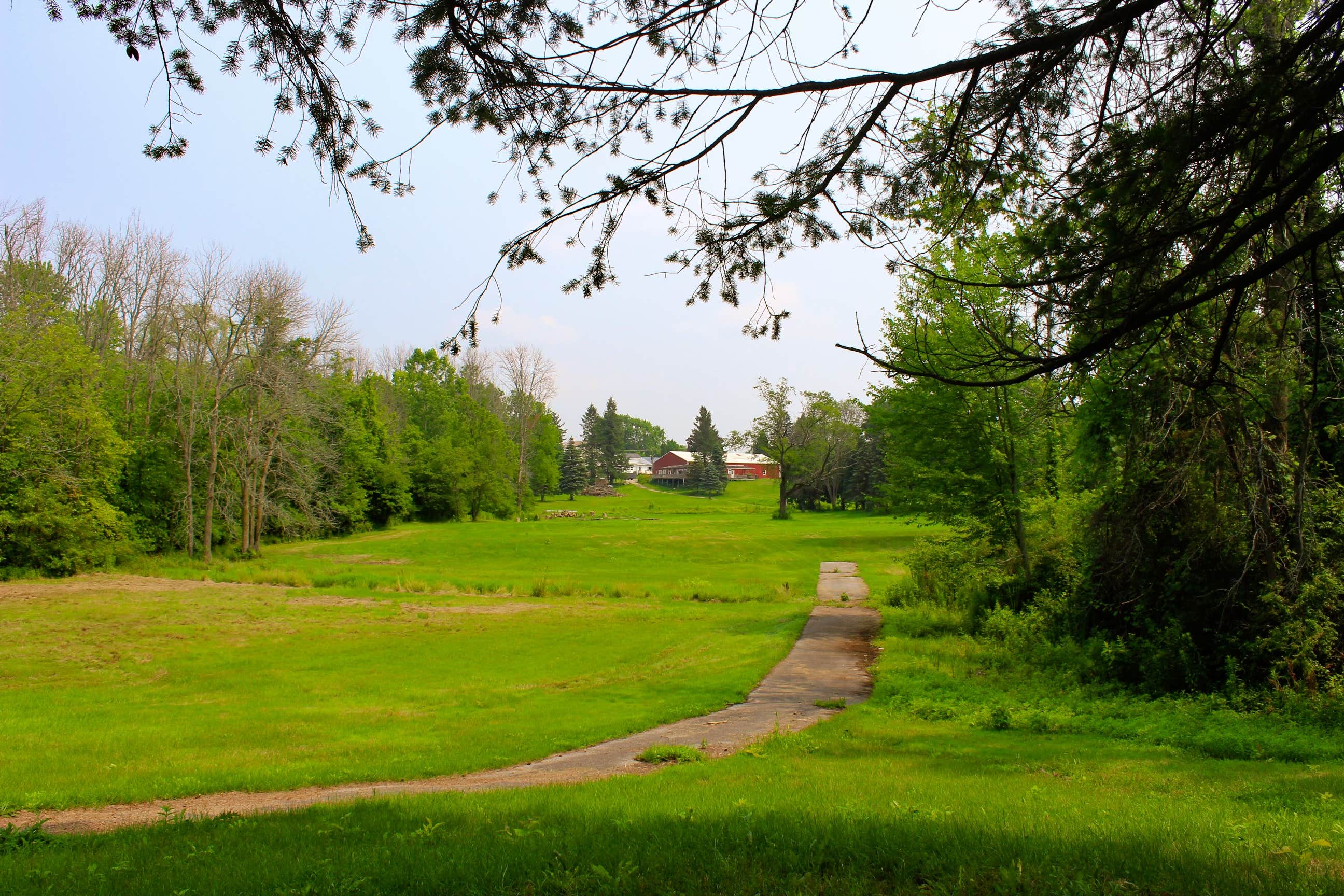 Camper-submitted photo at Big Guys Campground near Adams Basin, NY