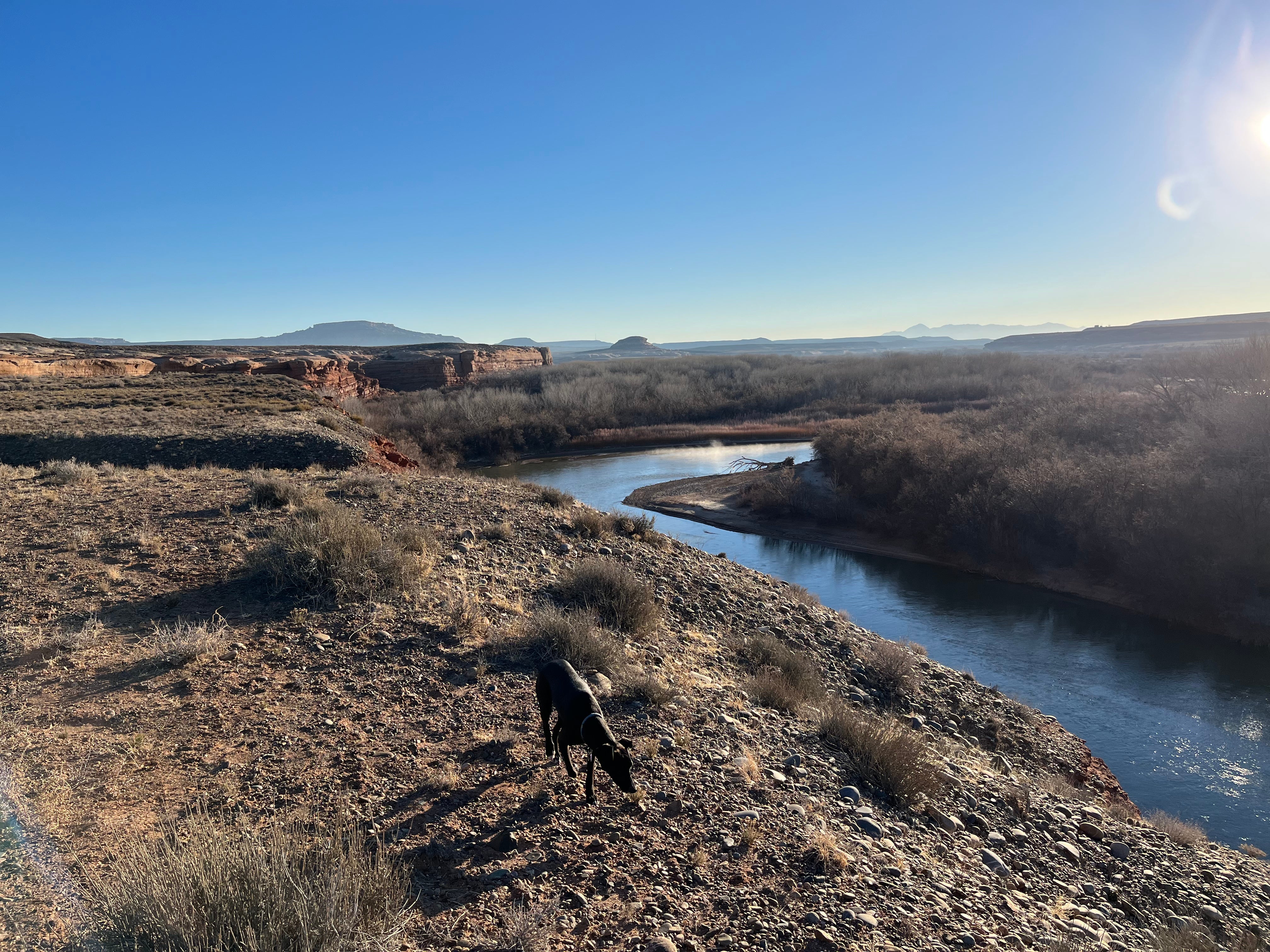 Camper submitted image from BLM Dispersed on San Juan River - 4