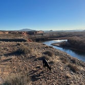 Review photo of BLM Dispersed on San Juan River by Reily K., March 2, 2022