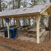 Review photo of Hall Landing Campground by Laura M., March 2, 2022