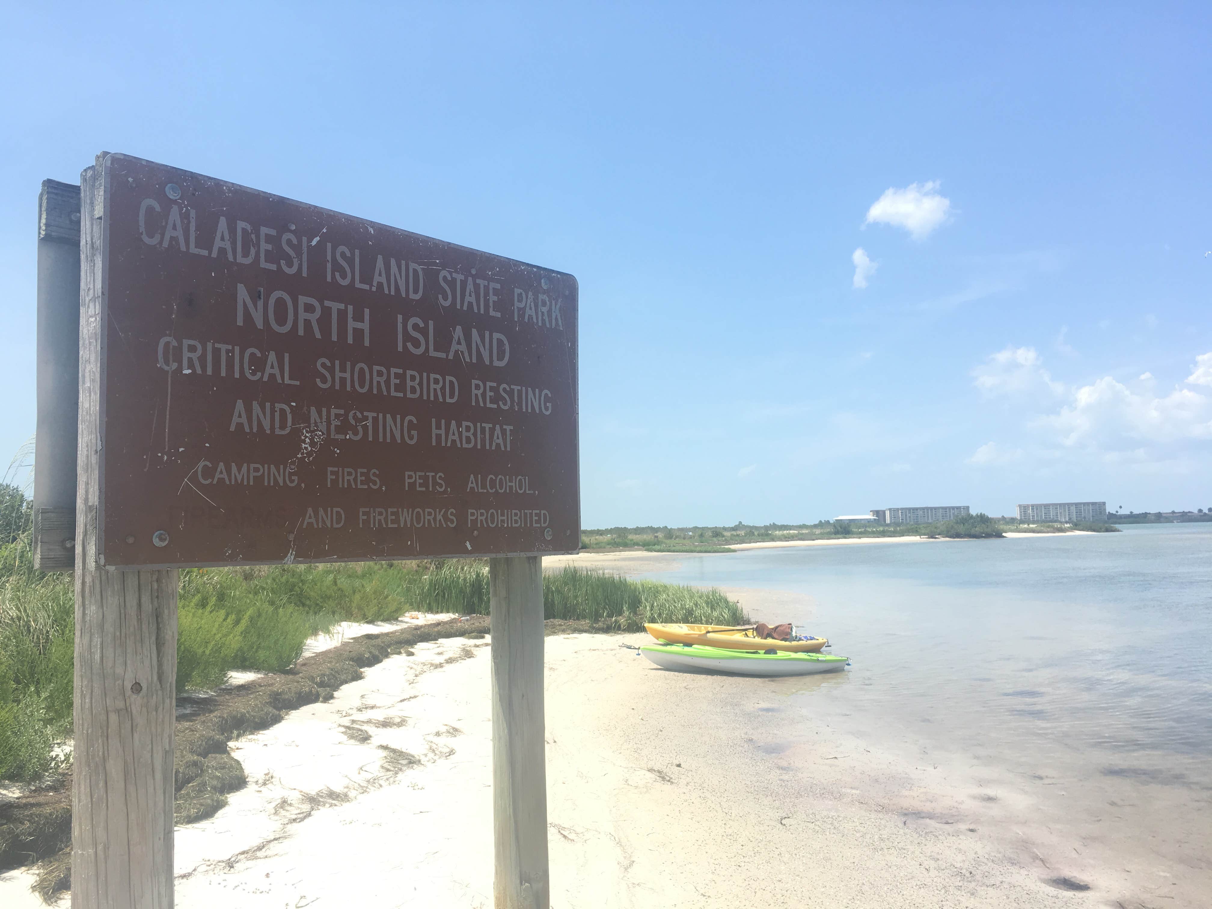 Camper submitted image from Caladesi Island State Park Campground - 4