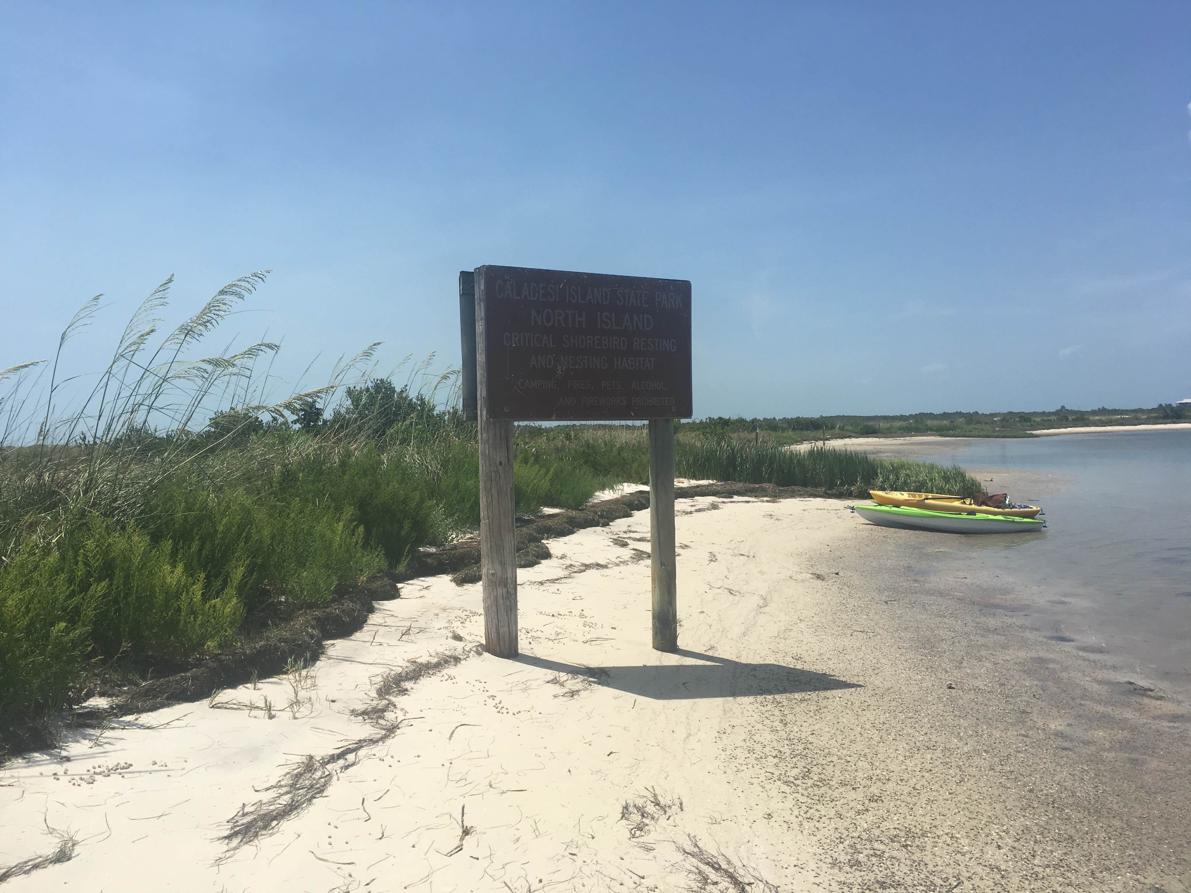 Camper-submitted photo at Caladesi Island State Park Campground near Safety Harbor, FL