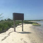 Review photo of Caladesi Island State Park Campground by Robin M., July 11, 2018