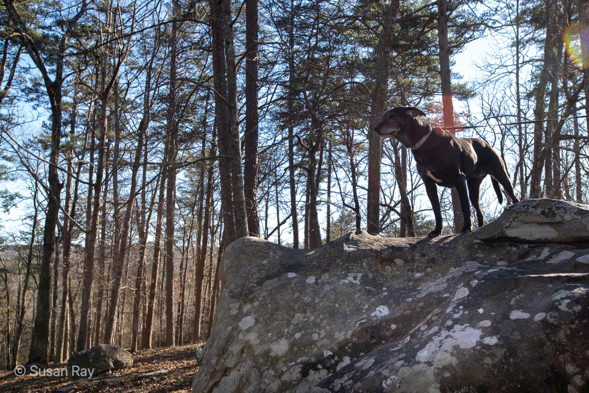 Camper-submitted photo at Wills Creek RV Park near Rainbow City, AL