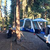 Review photo of Tolsona Wilderness Campground  by Katie B., July 11, 2018