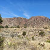 Review photo of Rio Grande Village Group Campground — Big Bend National Park by Norrie W., March 3, 2022