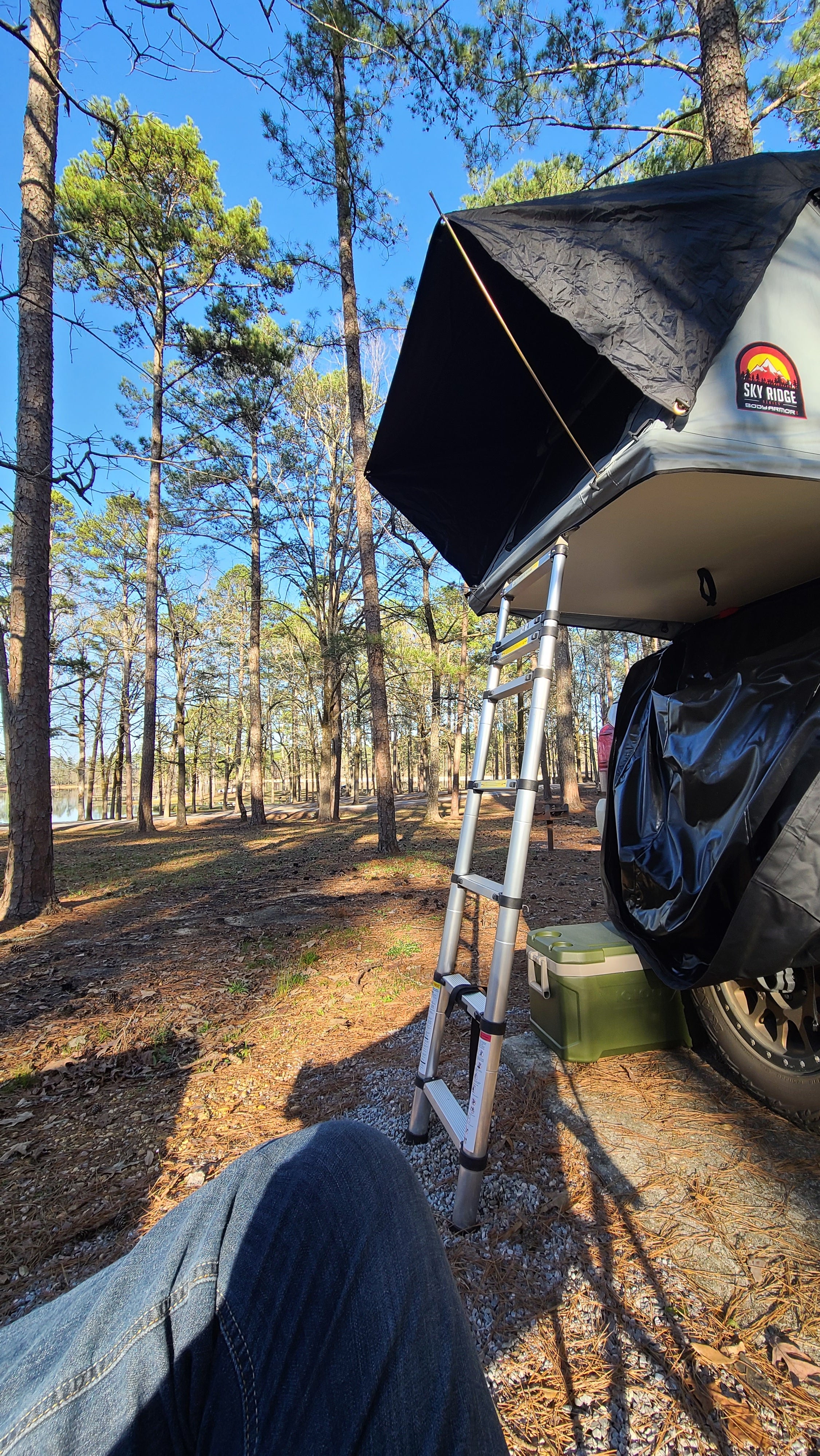 Camper submitted image from Lake Mary Crawford - 3