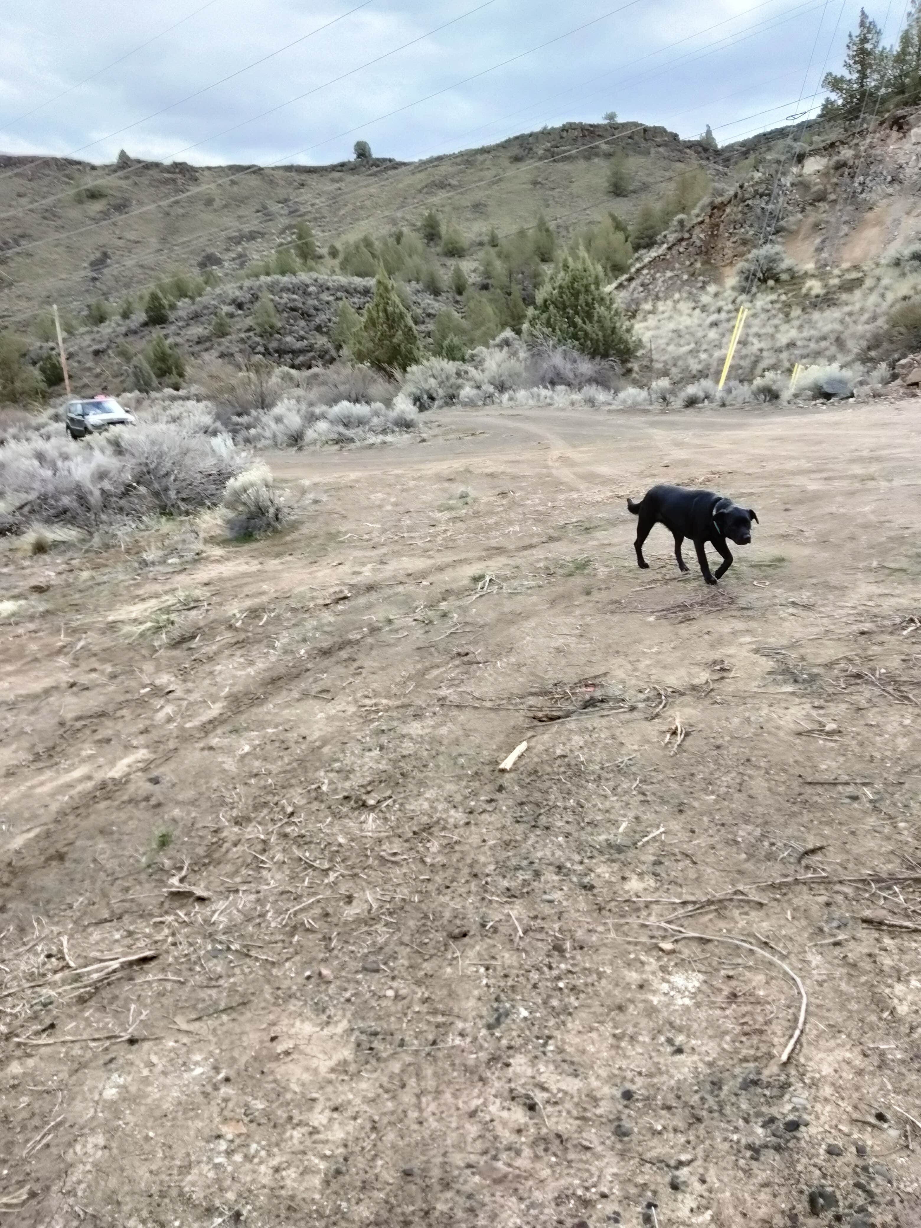 Camper-submitted photo at Deschutes River Overlook Dispersed Camping near Alder Springs, OR