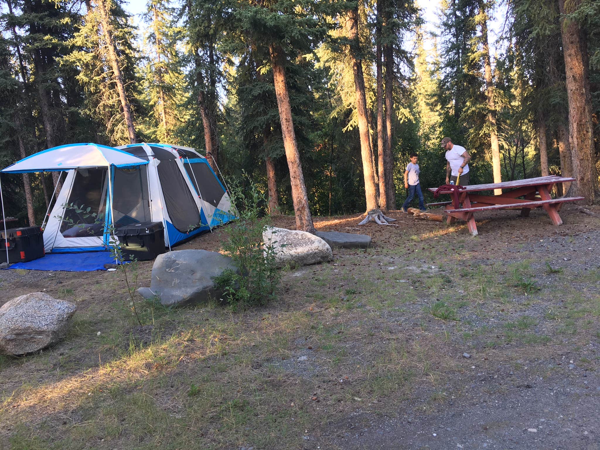 Camper submitted image from Tolsona Wilderness Campground - 5