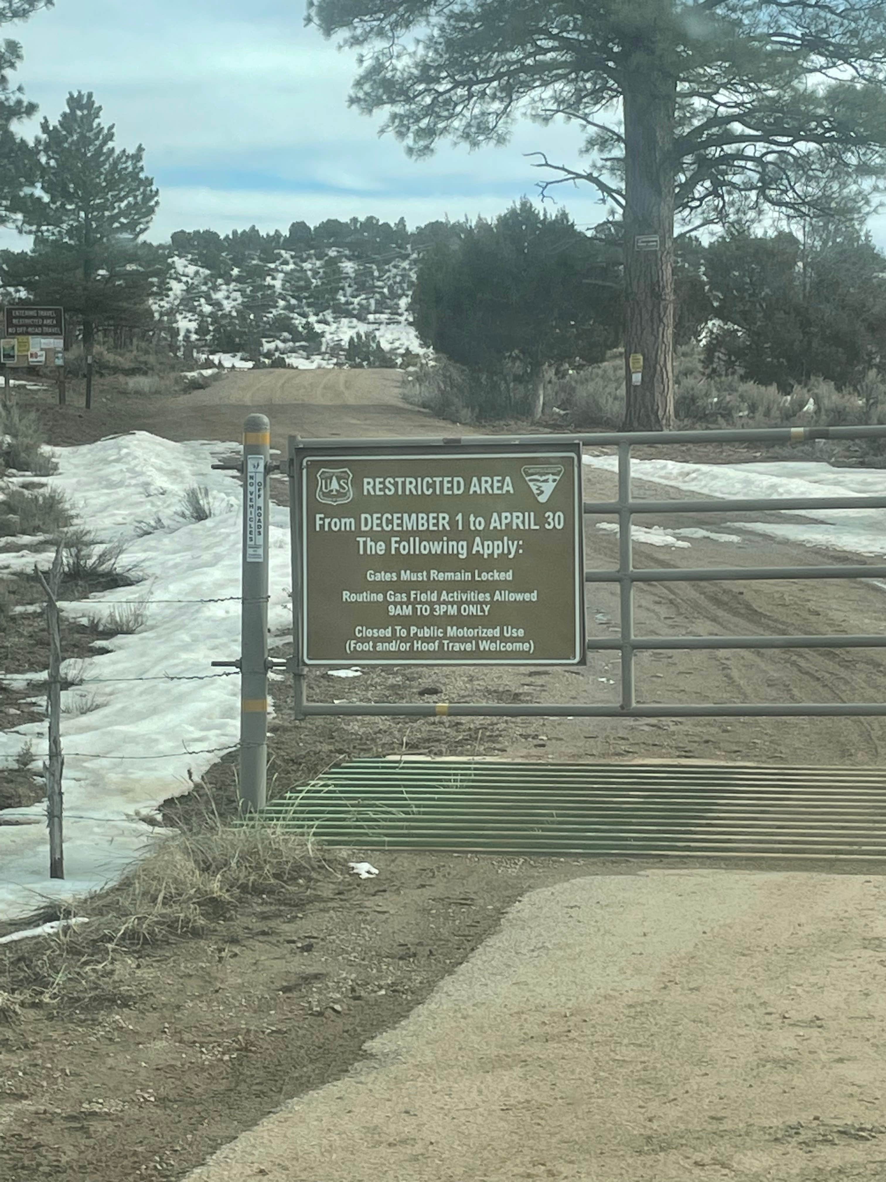 Camper submitted image from Bayfield/Durango Dispersed Camping - 3