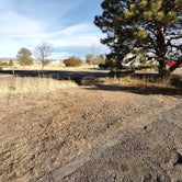 Review photo of Chatfield State Park Campground by Richard , March 4, 2022