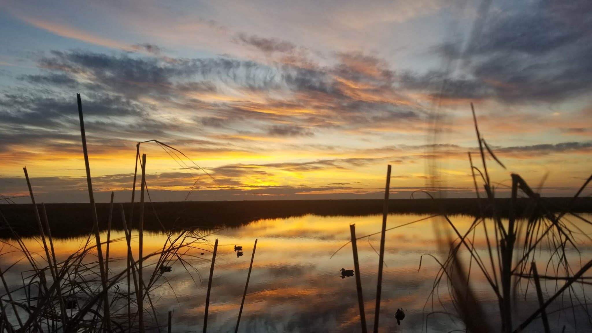 Camper-submitted photo at I'm on Vacation - Lodge + RV Retreat near Belle Chasse, LA
