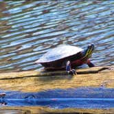 Review photo of Fawn Lake Campground by Jennifer B., February 21, 2021