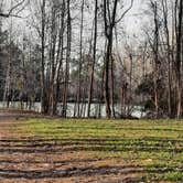 Review photo of Thousand Trails The Oaks at Point South by Wendy J., March 4, 2022