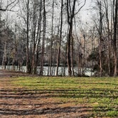 Review photo of Thousand Trails The Oaks at Point South by Wendy J., March 4, 2022