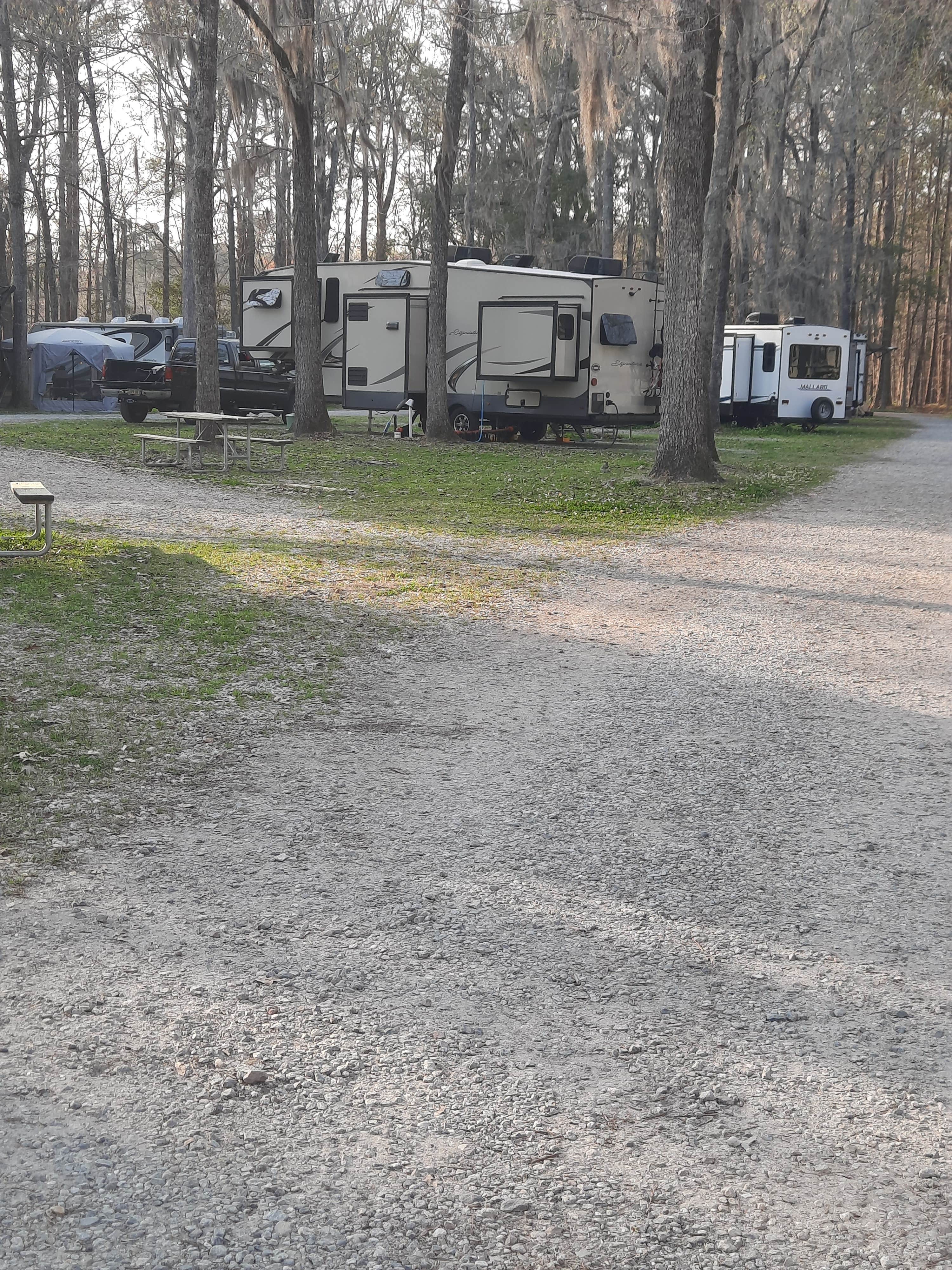 Wendy J.'s photo of rv camping at Thousand Trails The Oaks at Point South near Allendale, SC