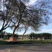 Review photo of Almond Tree Oasis RV Park by April N., March 5, 2022