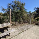 Review photo of Big Lagoon State Park Campground by Laura M., March 5, 2022