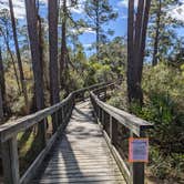 Review photo of Big Lagoon State Park Campground by Laura M., March 5, 2022