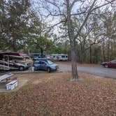 Review photo of Davis Bayou Campground — Gulf Islands National Seashore by Laura M., March 5, 2022