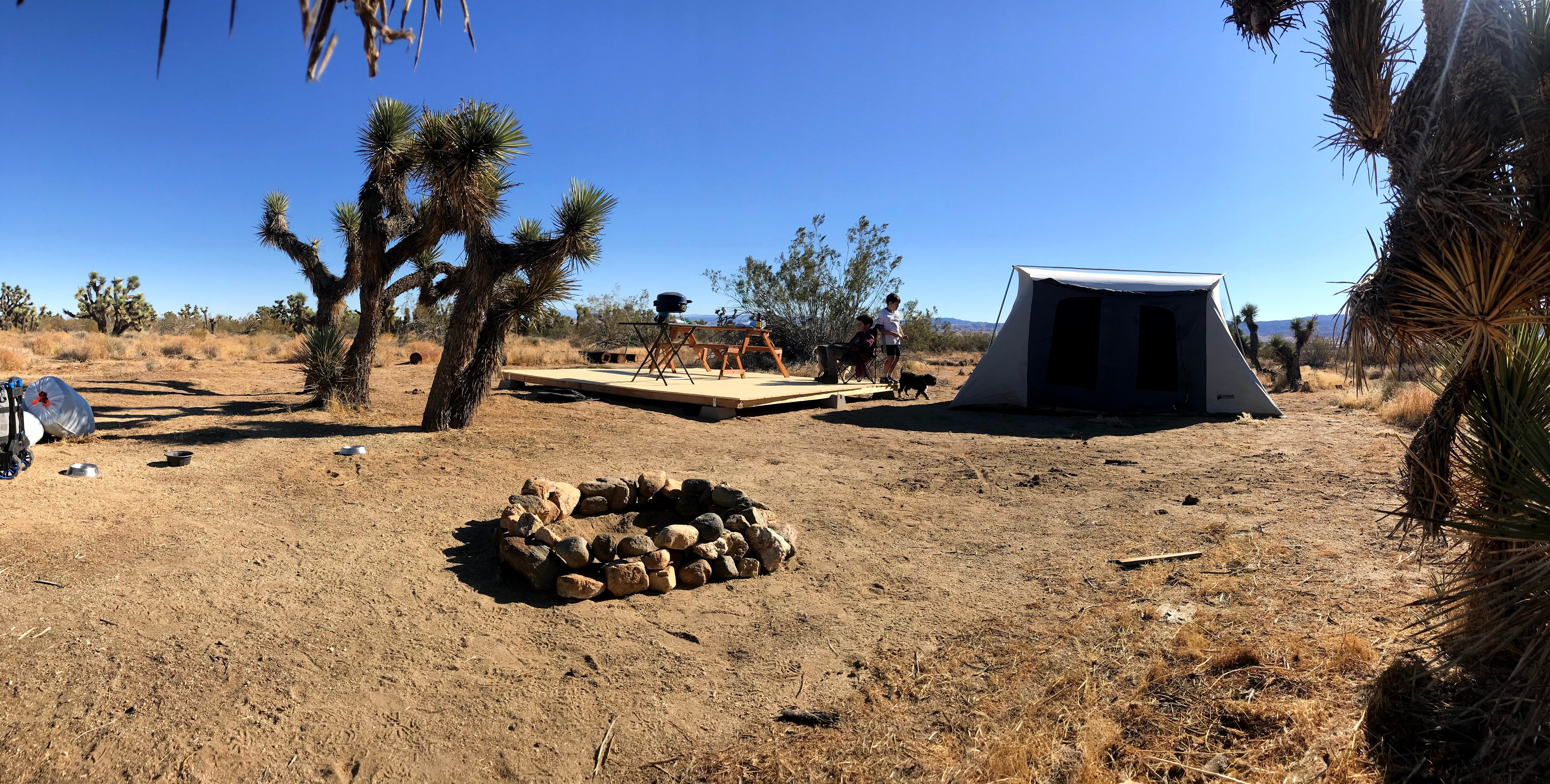 Camper submitted image from Joshua Tree Rancho - 1