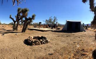 James C.'s photo at Joshua Tree Rancho near Bear Valley Springs, CA