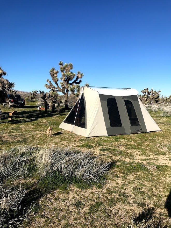 Camper submitted image from Joshua Tree Rancho - 2