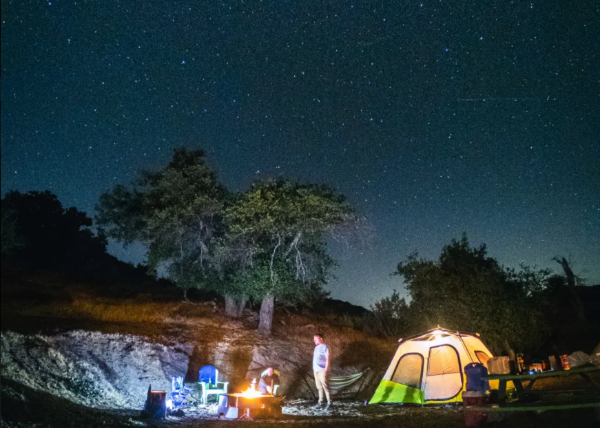 The Horn Book  The Camping Trip