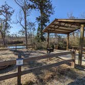 Review photo of Blue Spring Recreation Area by Laura M., March 6, 2022