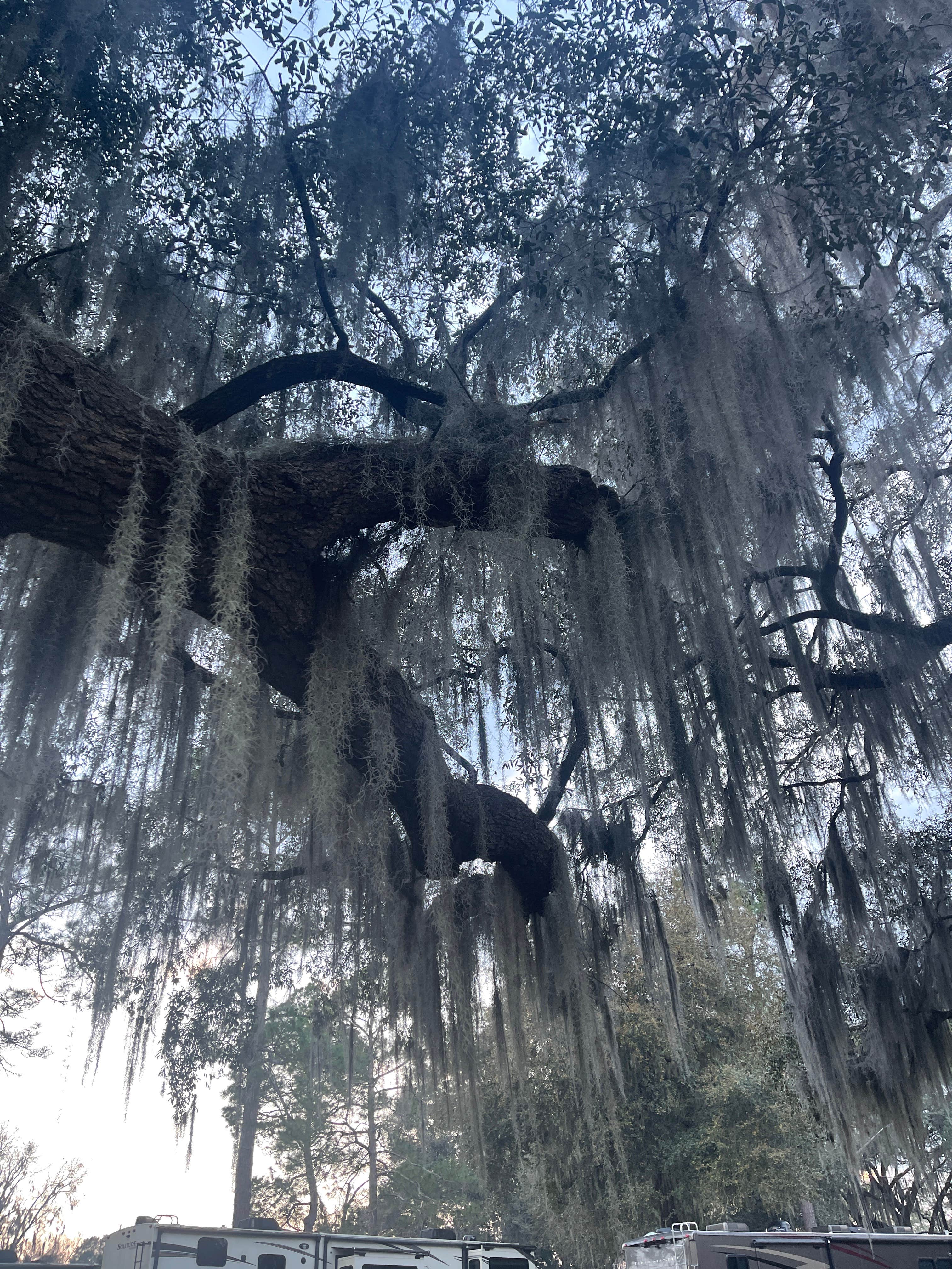 Camper-submitted photo at Lake Park Campground near Adel, GA
