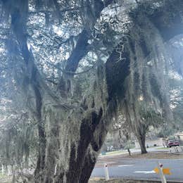 Lake Park Campground