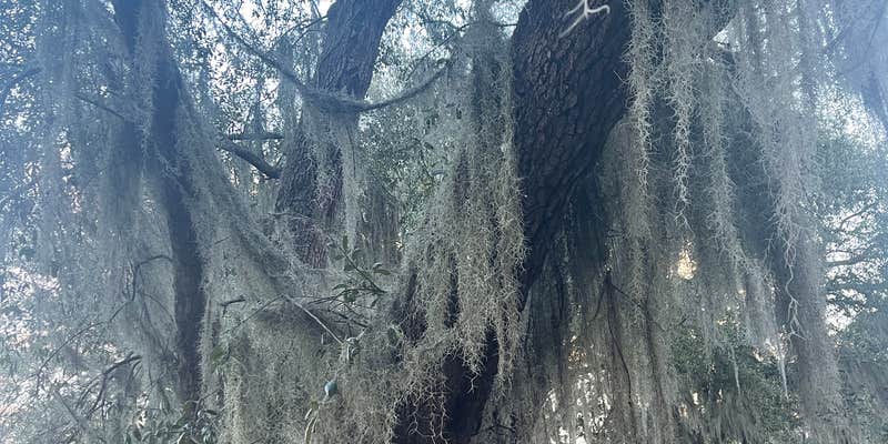 Camper submitted image from Lake Park Campground