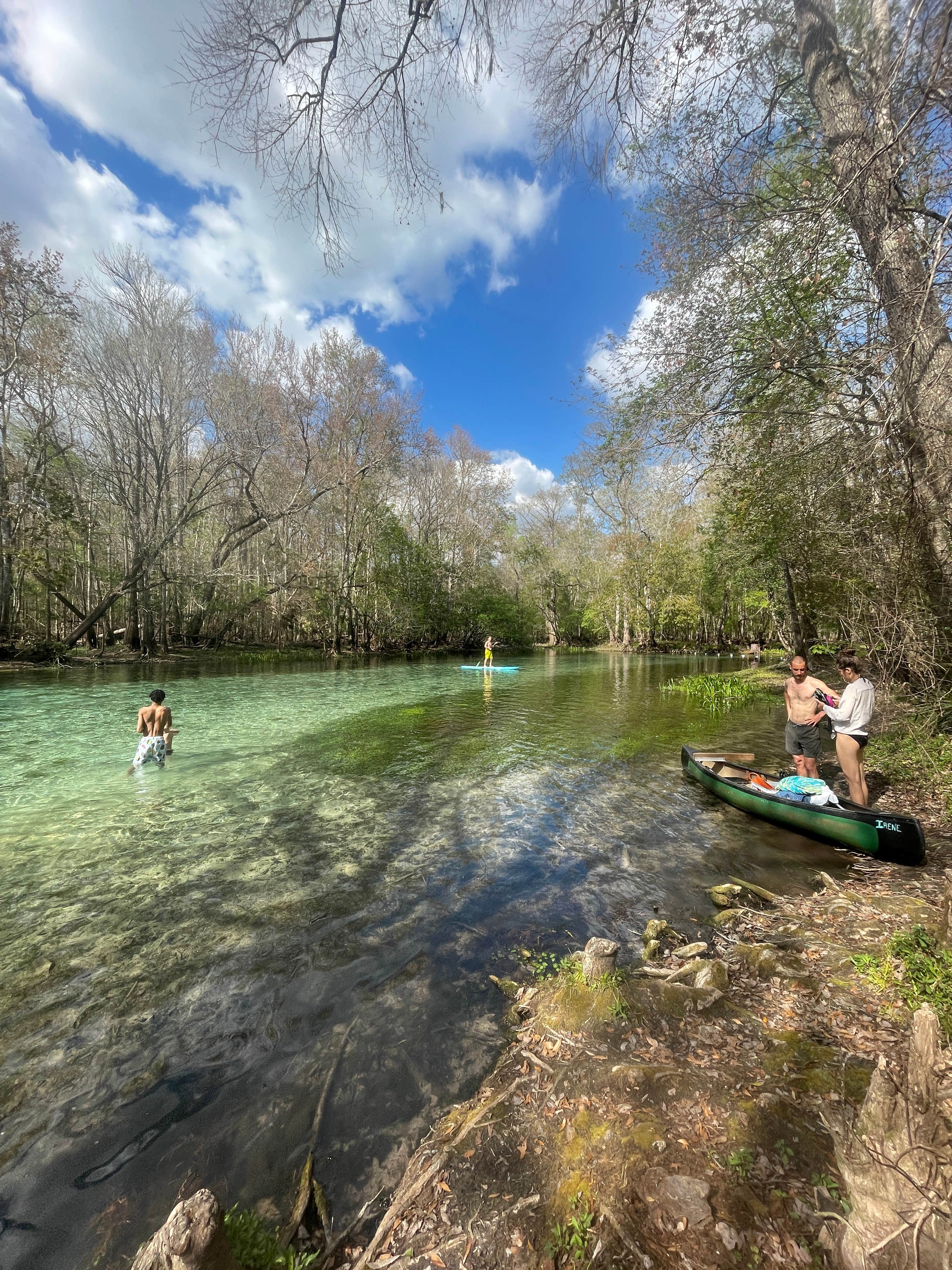 Camper submitted image from Lafayette Blue Springs State Park Campground - 1