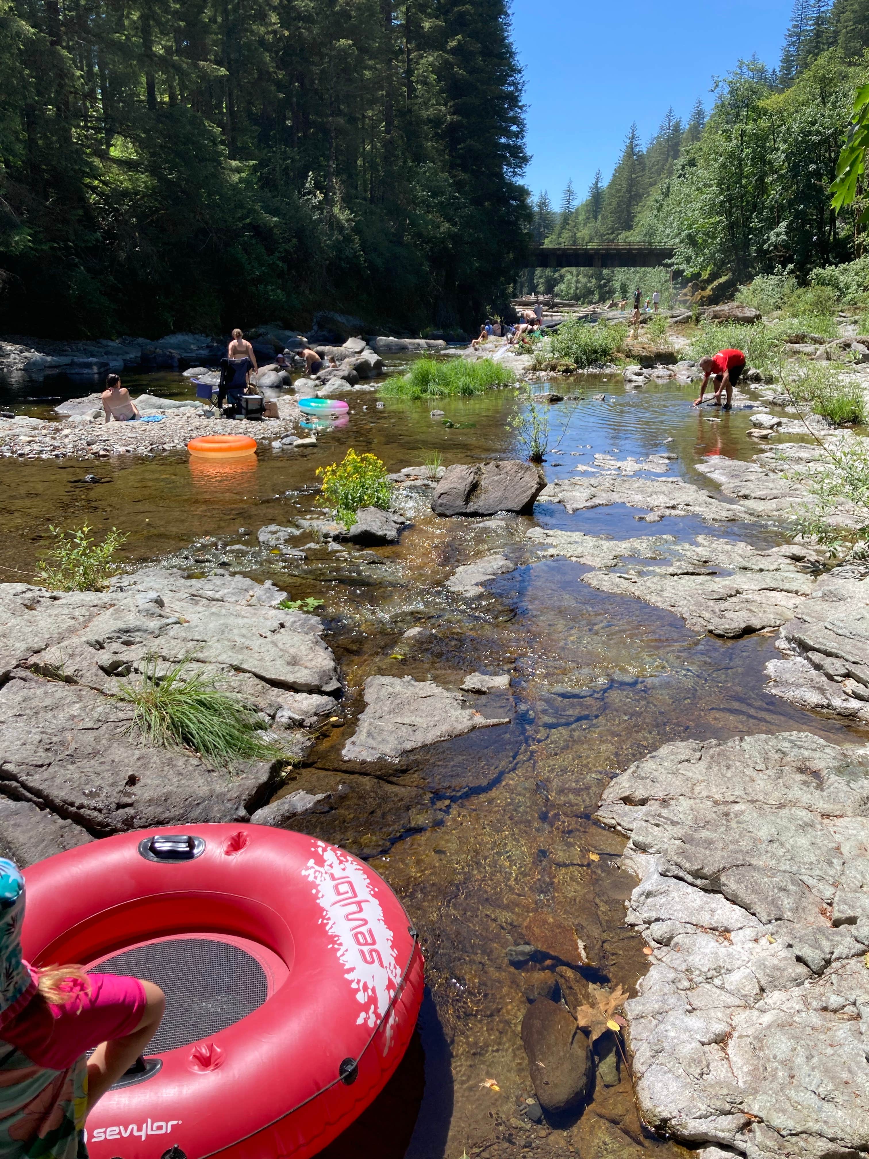 Naked Falls Camping | North Bonneville, WA