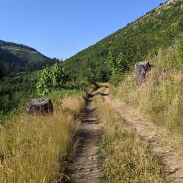 Naked Falls Camping | North Bonneville, Washington
