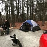 Review photo of Pocomoke River State Park Campground by kyle , March 6, 2022