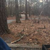 Review photo of Pocomoke River State Park Campground by kyle , March 6, 2022