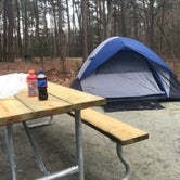 Review photo of Pocomoke River State Park Campground by kyle , March 6, 2022