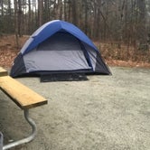 Review photo of Pocomoke River State Park Campground by kyle , March 6, 2022