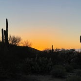 Review photo of Cactus Forest Dispersed by Ali B., March 6, 2022