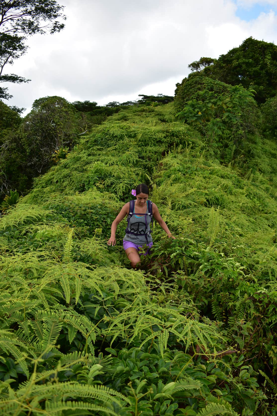 Hanamaulu Beach Park The Dyrt