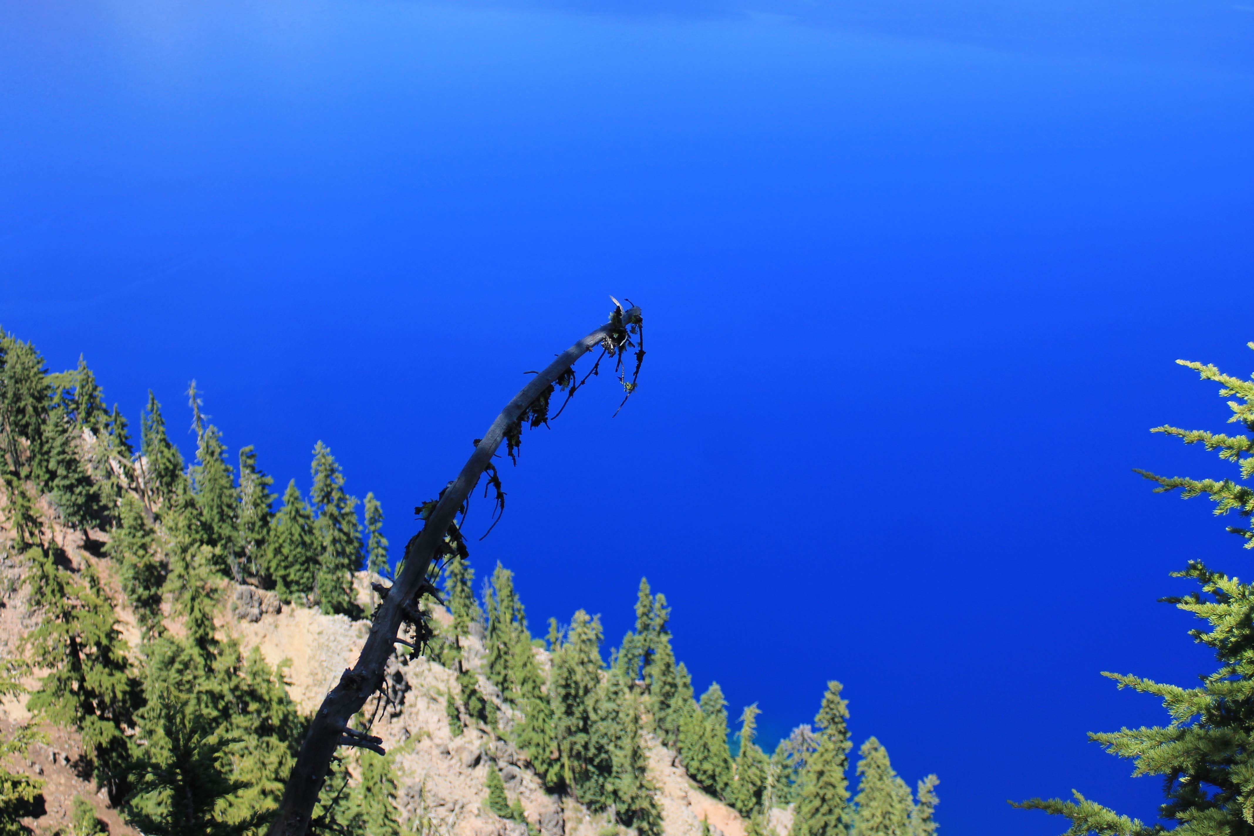 Mazama campground top