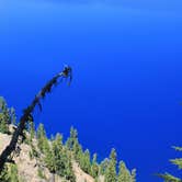 Review photo of Mazama Village Campground — Crater Lake National Park by Eva W., June 19, 2015